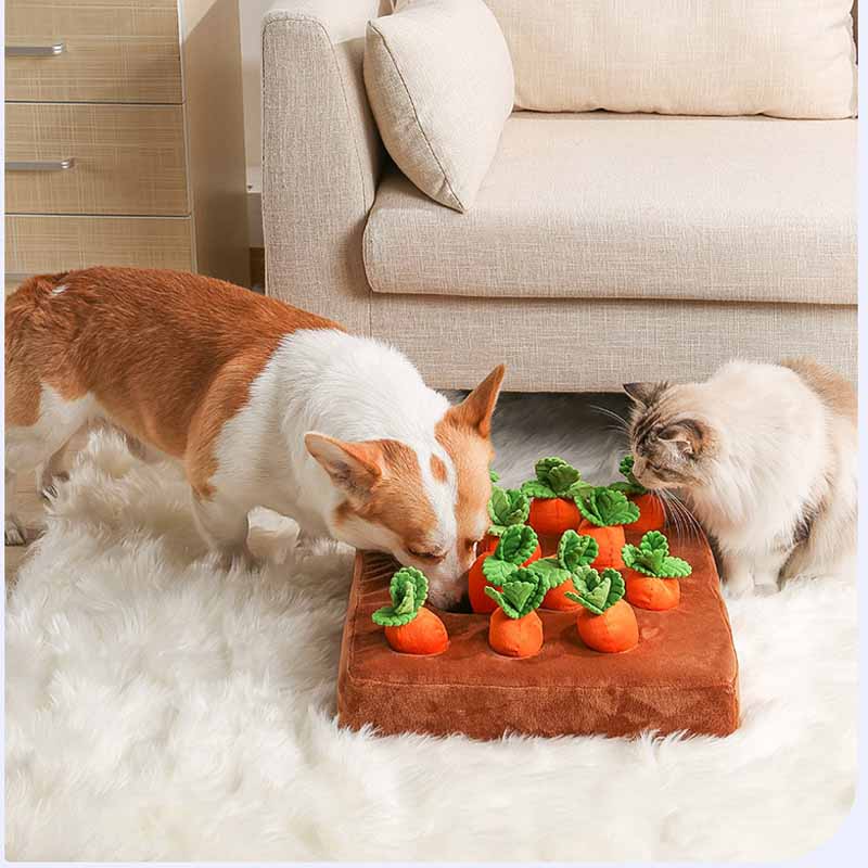 Karottenfarm für Hunde oder Katzen - Fressspielzeug - Intelligenzspielzeug zum Verstecken von Leckerli